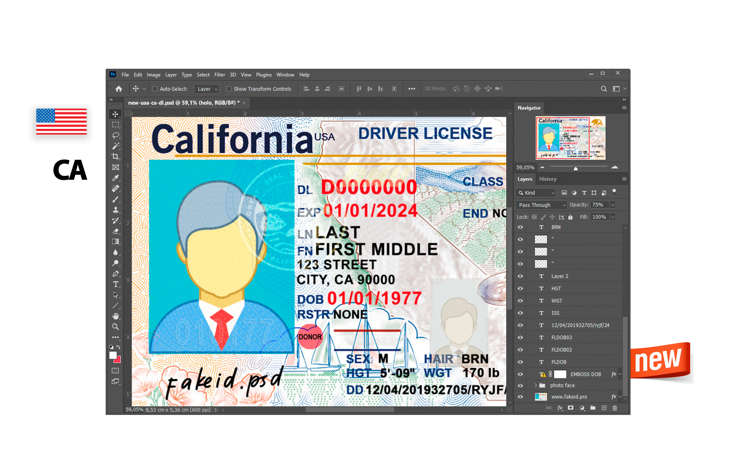 New PSD Template Driver License California