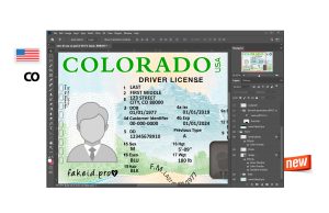 New PSD Template Driver License Colorado