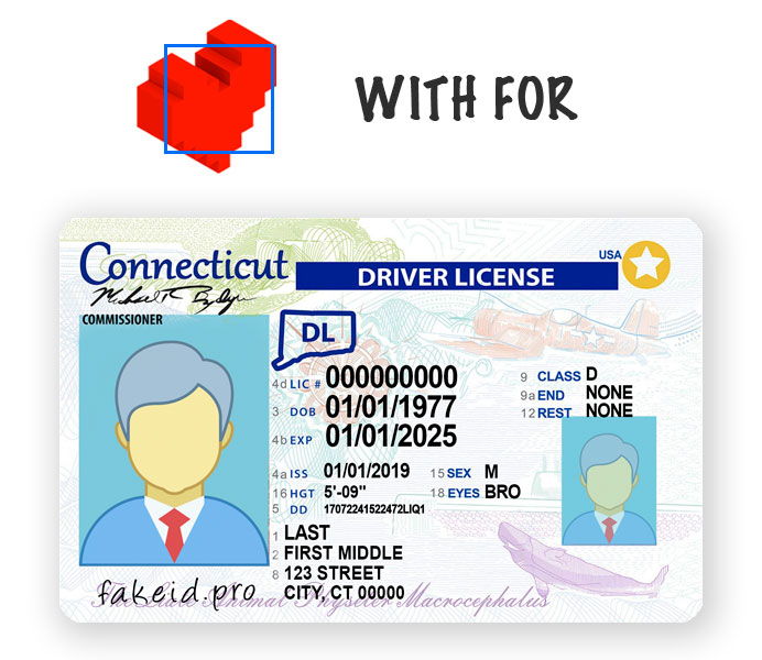 Connecticut ID HQ Details