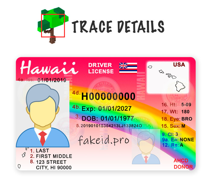 Hawaii ID Template Psd Details