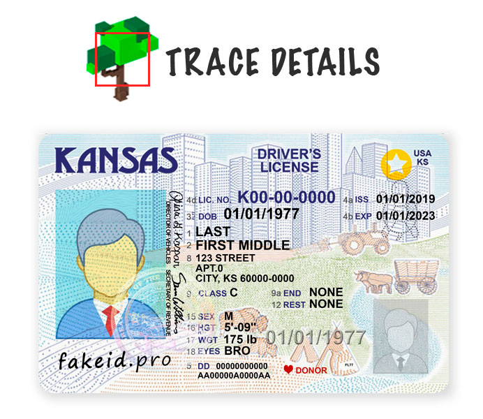 Kansas ID Template HQ