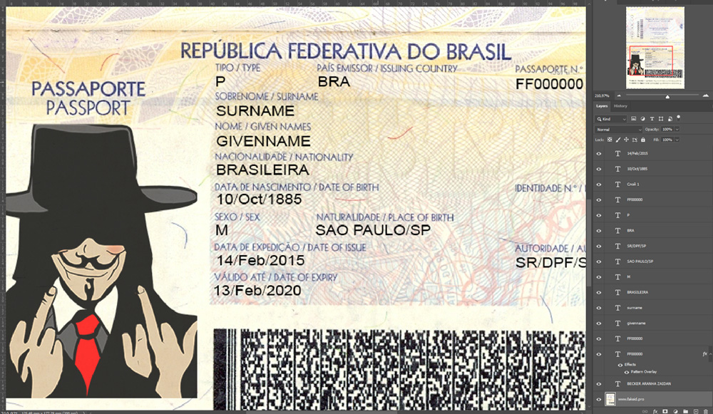 Brazil psd passport